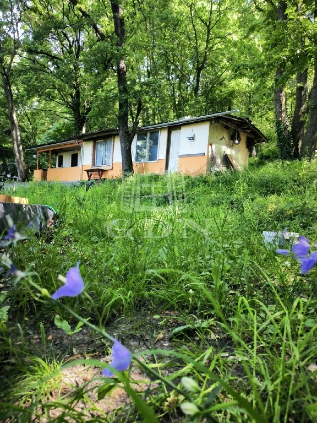 Eladó családi ház, Verőce, Migazzi kastély felett