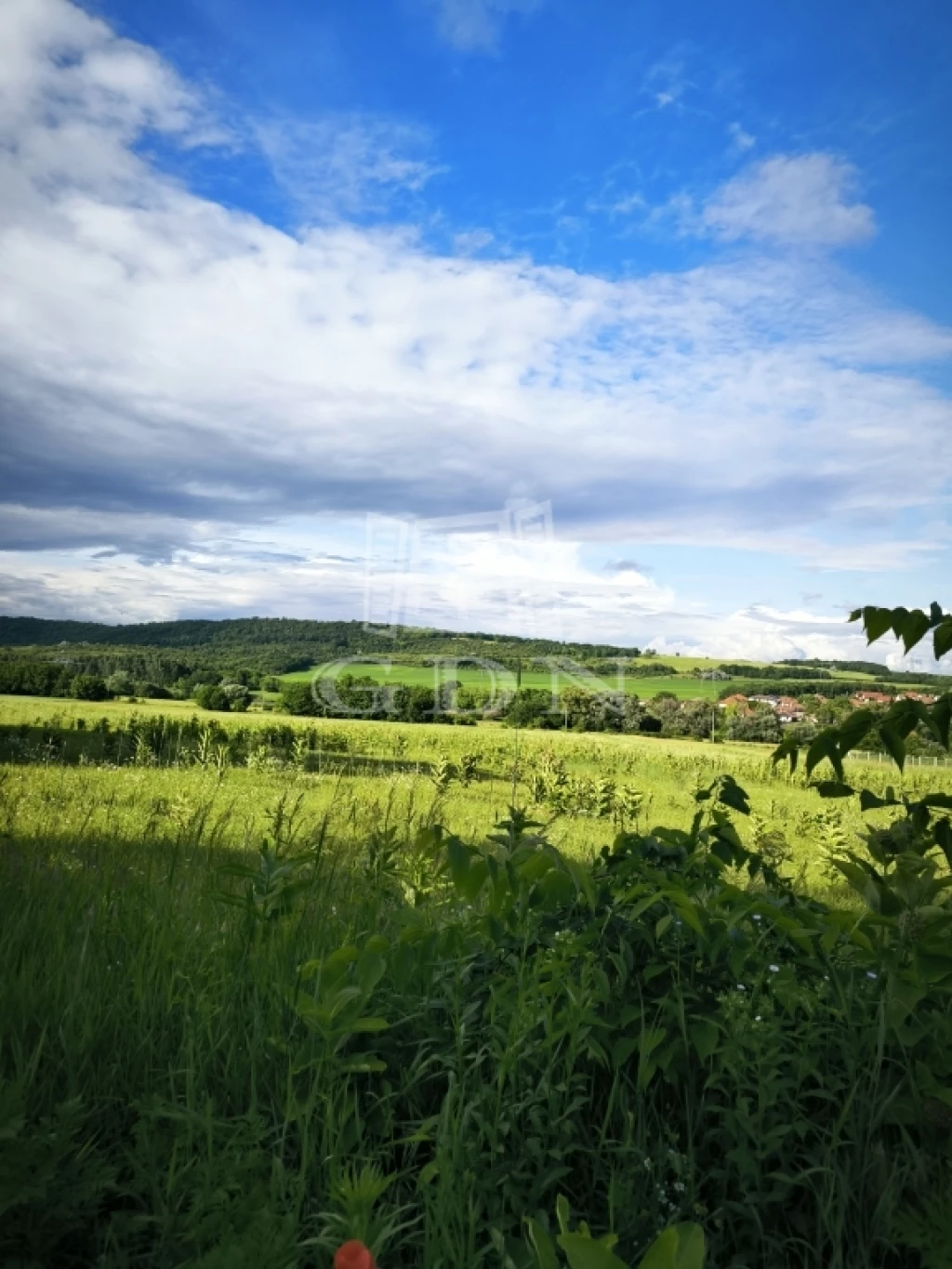 For sale building plot, Őrbottyán, panorámás részen