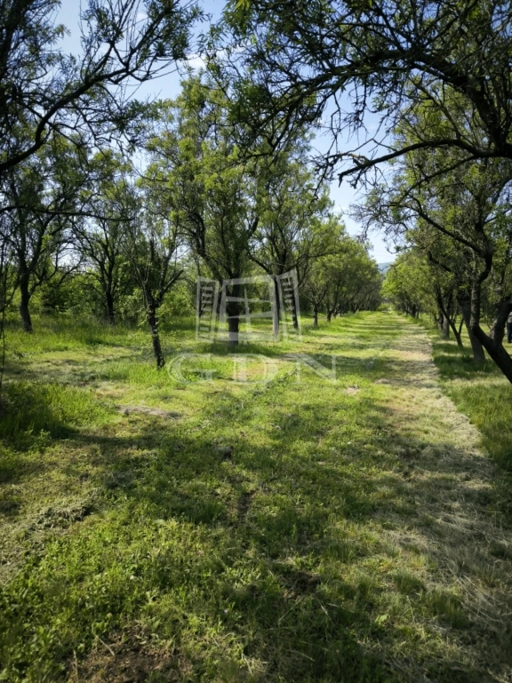 For sale orchard, Pomáz, Dolina, Dolinai út