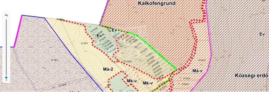 For sale forest, Zebegény, Malomvölgyi-patak közelében