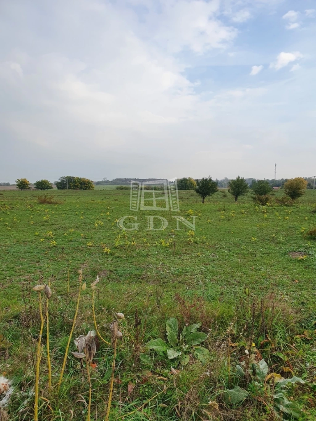 For sale plough-land, pasture, Dunakeszi, Sződi úti dűlő