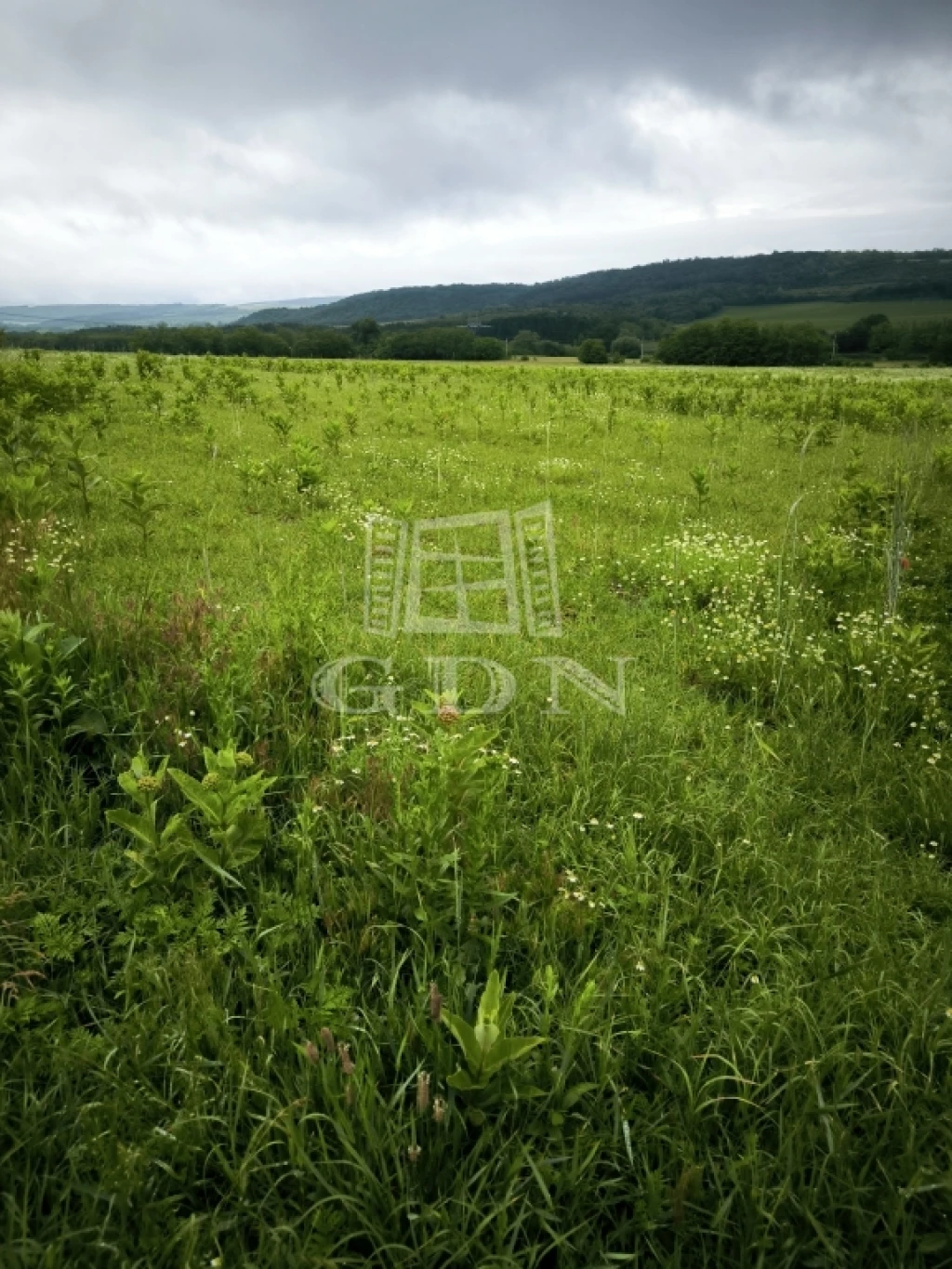 Eladó építési telek, Őrbottyán, panorámás részen