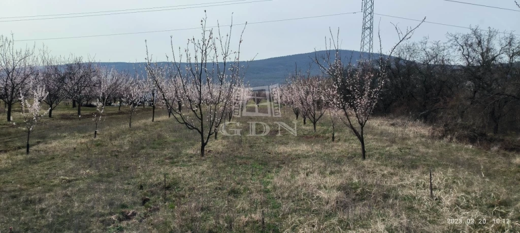 For sale orchard, Pomáz, Dolina, panorámás részén