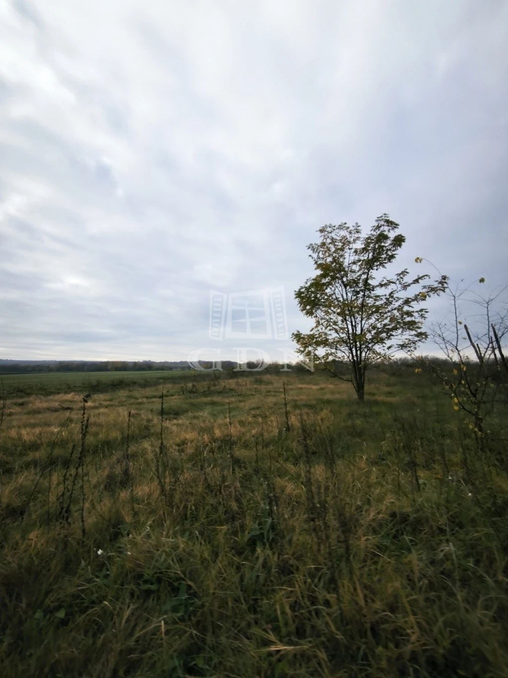 For sale plough-land, pasture, Csomád, 1,4 km-re a Kossuth Lajos úttól