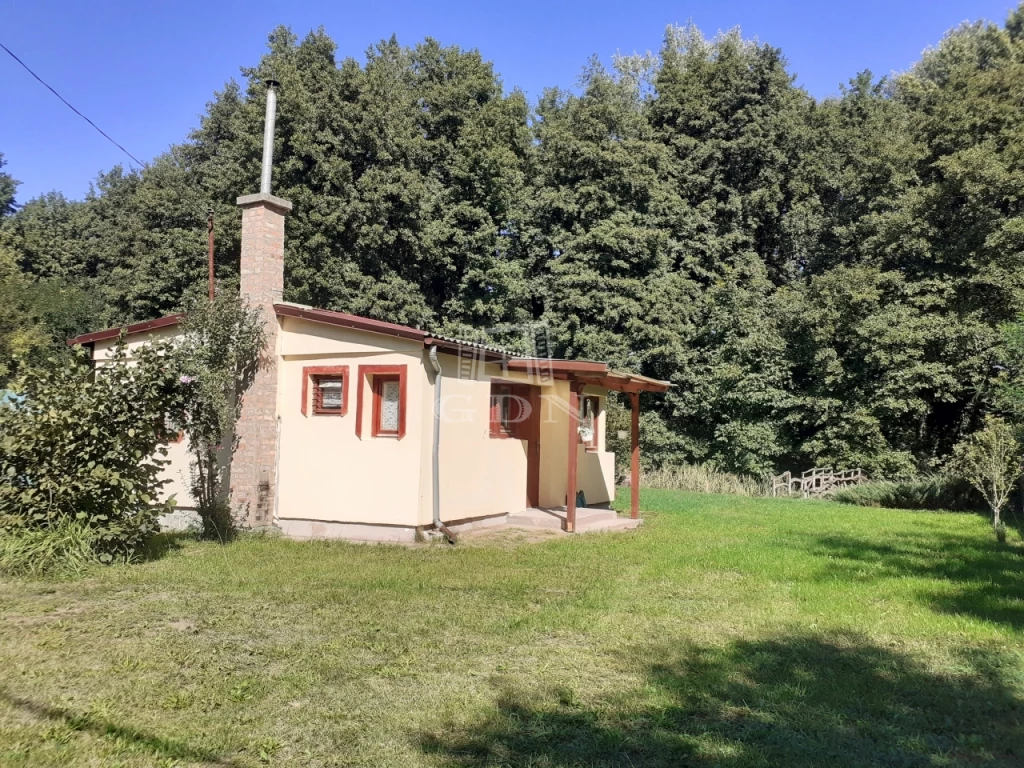 Eladó családi ház, Vácegres, tó közelében