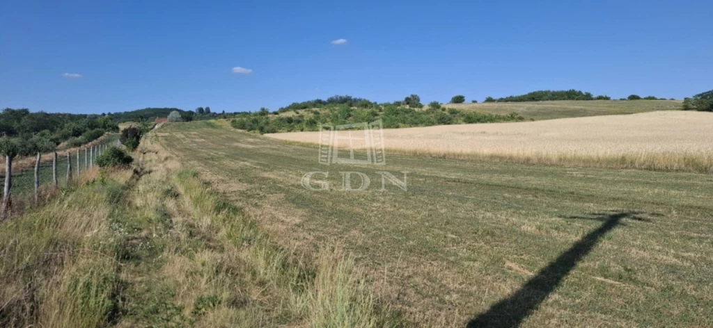 Eladó szántóföld, legelő, Mogyoród, Fót határában