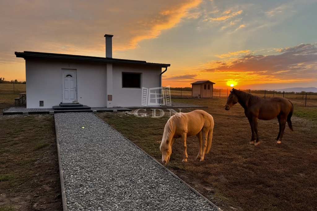 Eladó családi ház, Váchartyán, külterület 08/18