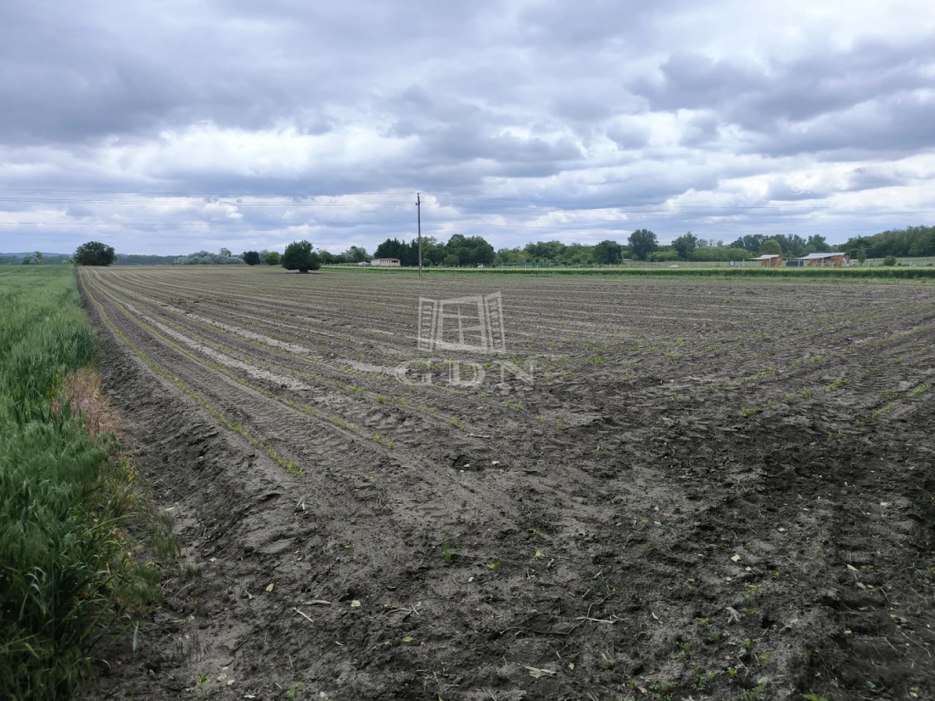 c3-1-name c2-57-name, Pócsmegyer, aszfaltozott út mellett