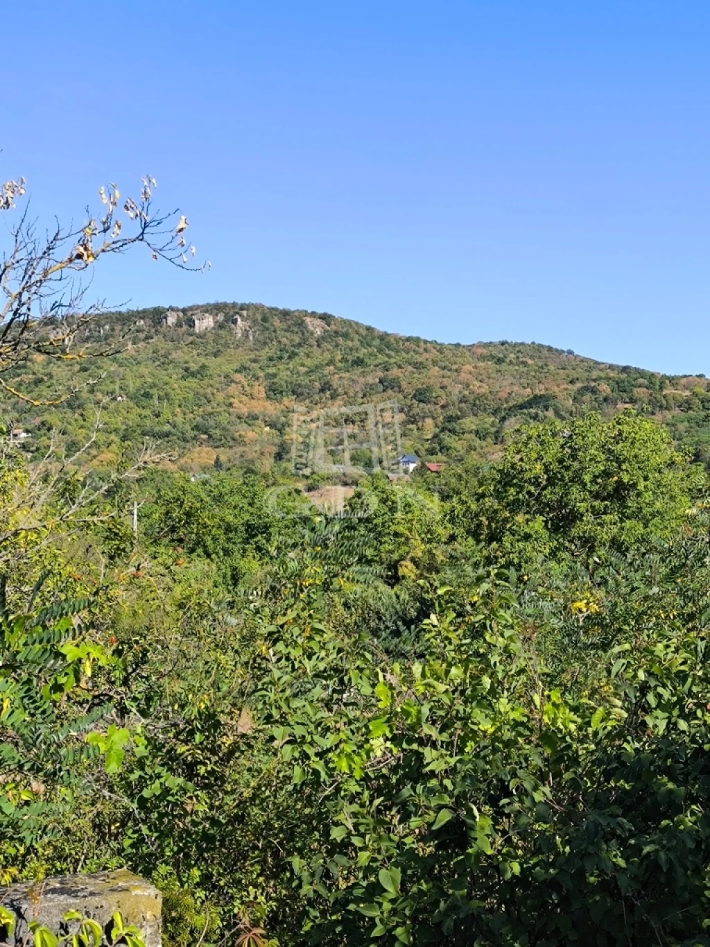 Eladó üdülőtelek, Pomáz, Susnyár, panorámás részén