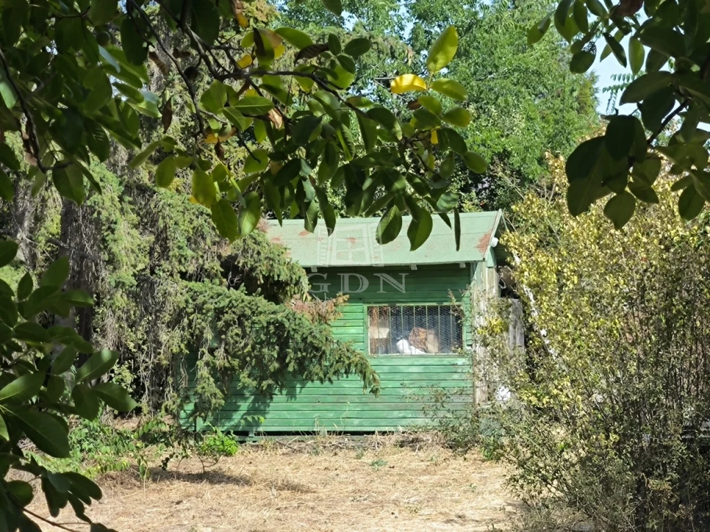 Eladó külterületi telek, Mogyoród, Kukukhegy, csendes utcában
