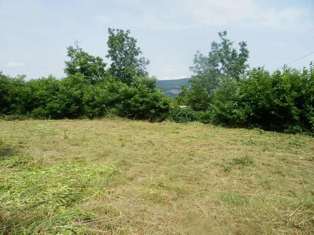 Építési telek vízzel, villannyal eladó