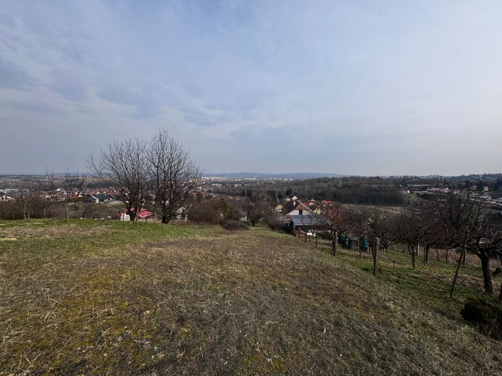 Eladó föld, Zalaegerszeg, Citromfű