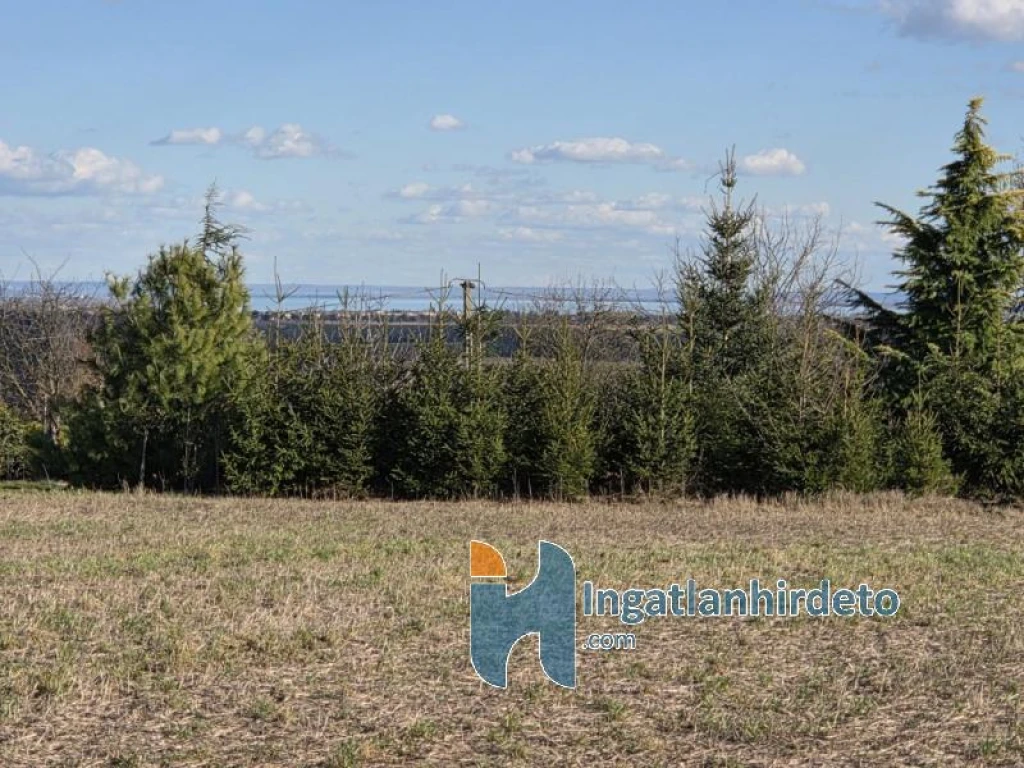 Eladó föld, Alsópáhok