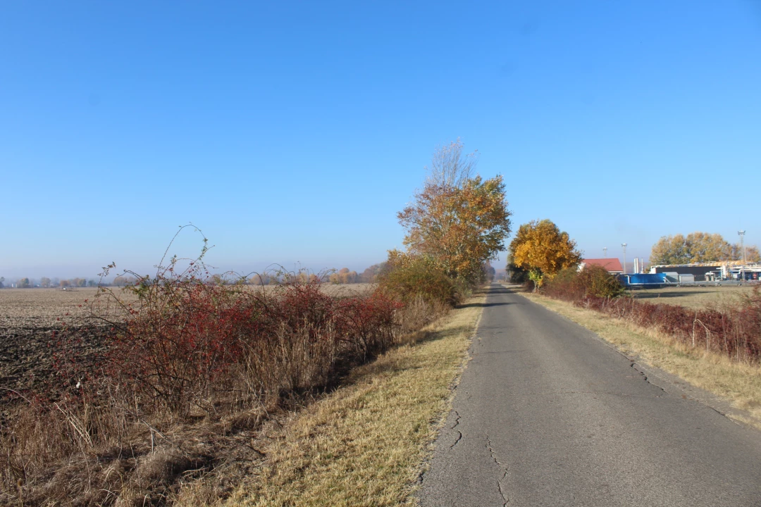 Eladó szántóföld, legelő, Szeged