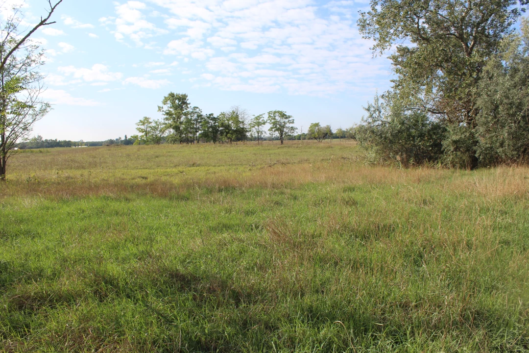 Eladó szántóföld, legelő, Ópusztaszer