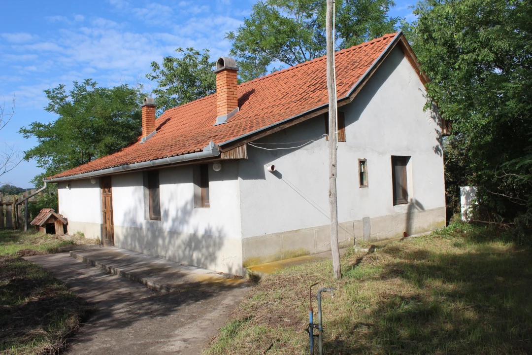 Eladó szántóföld, legelő, Ópusztaszer