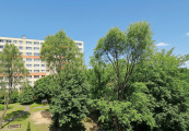 Eladó panellakás, Budapest XIV. kerület, Pillangó park