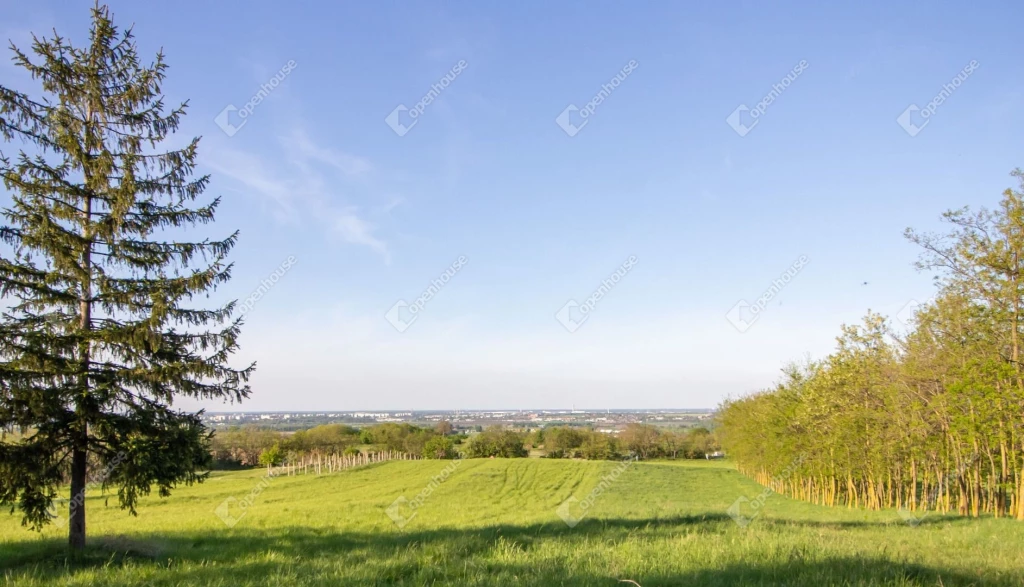 Győrújbaráton panorámás belterületi építési telek ritkán lakott részen eladó