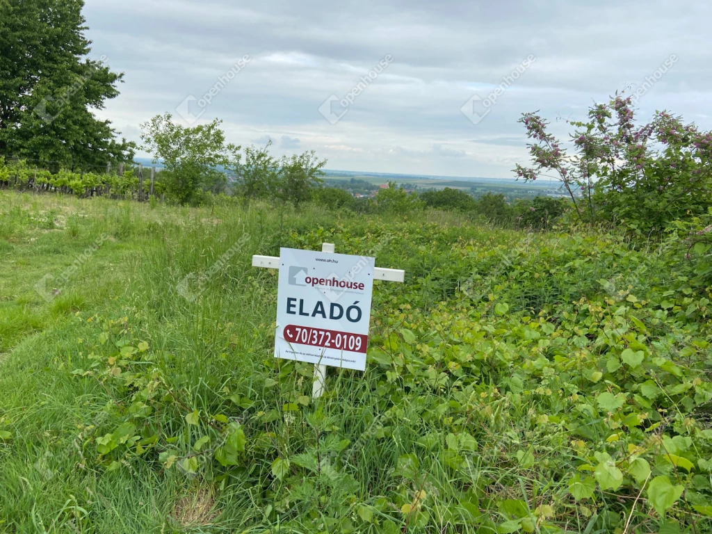 For sale building plot, Nyúl