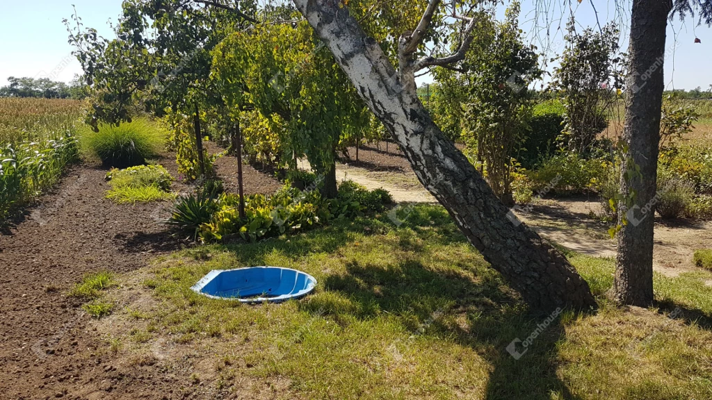 Zöldségekkel és gyümölcsfákkal teli kert