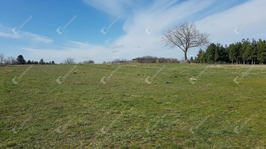 For sale other plot, Győr, Ménfőcsanak