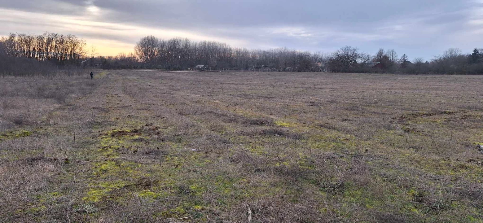 For sale plough-land, pasture, Kecskemét