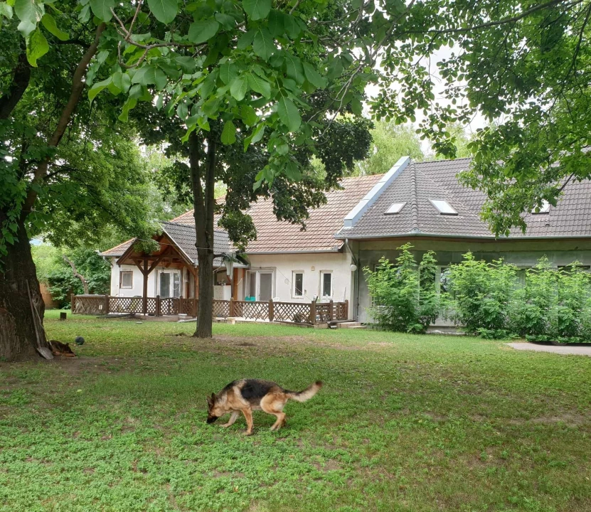 For sale house, Kecskemét