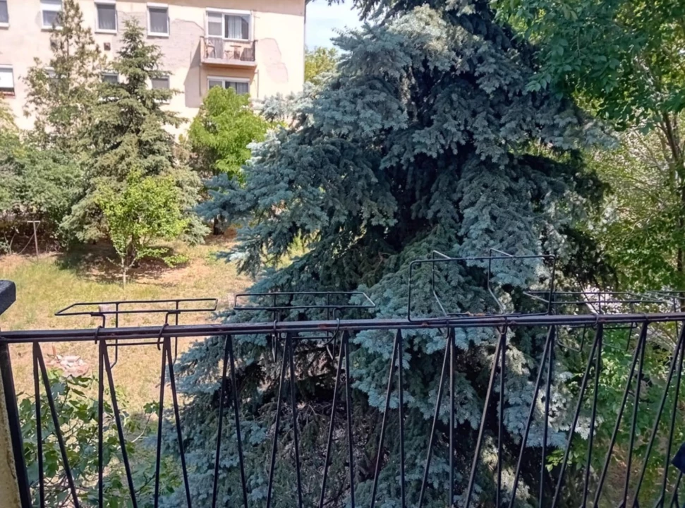 c3-1-name c2-19-name, Kecskemét