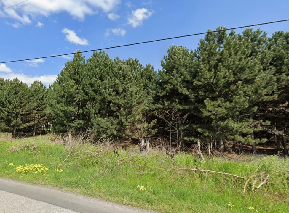 For sale building plot, Helvécia, Kiskőrösi út