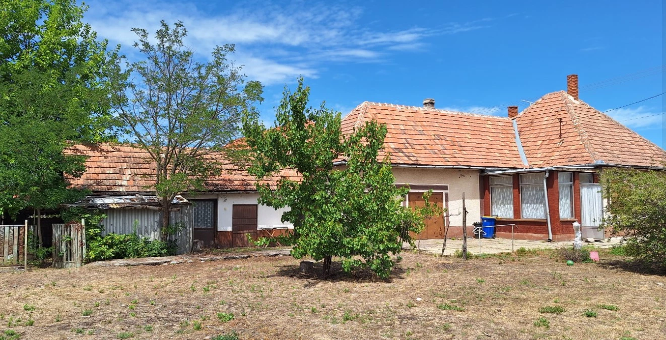 For sale house, Tabdi