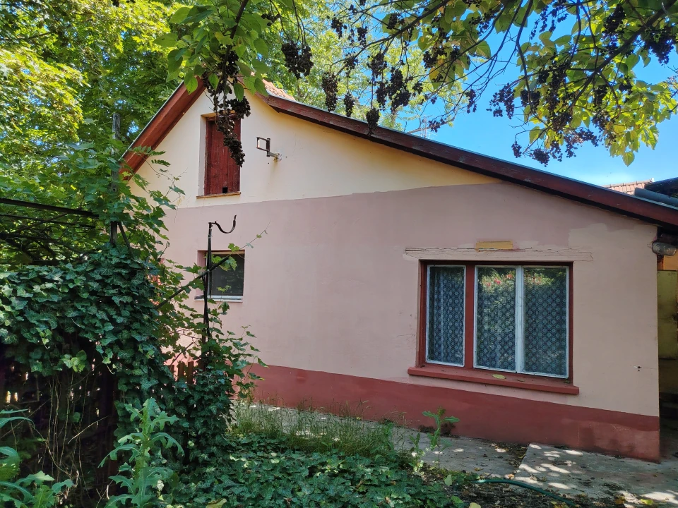 c3-1-name c2-1-name, Kecskemét