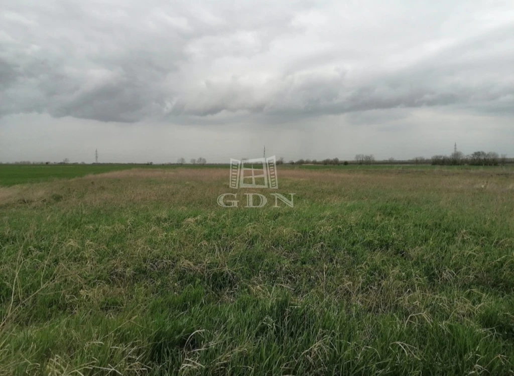 Eladó építési telek, Besnyő, Dankó Pista utca