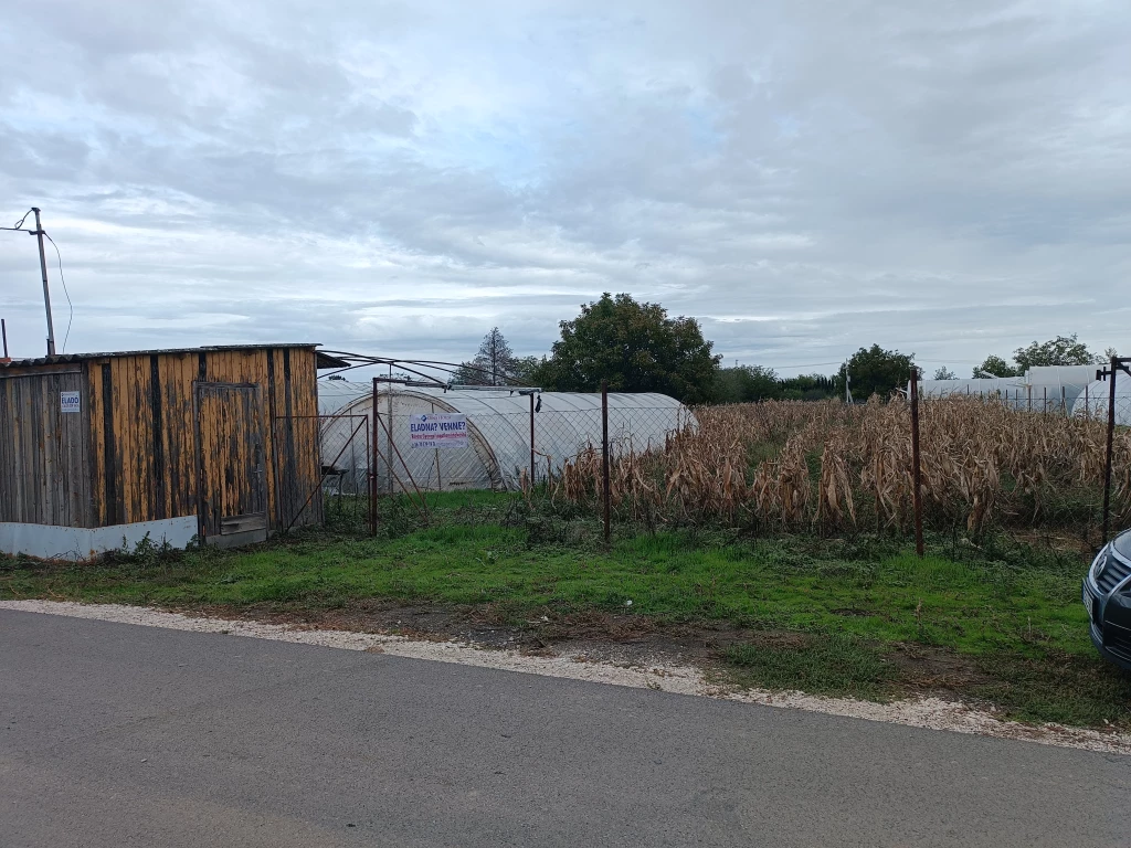 For sale plot, Szentes, Zártkert