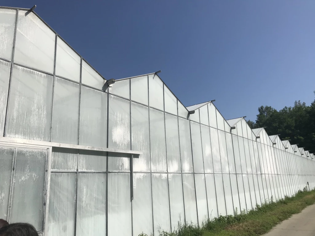 Eladó , Kiskunfélegyháza, XII. körzet tanya