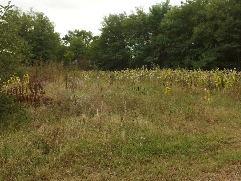 Eladó telek, Kiskunfélegyháza