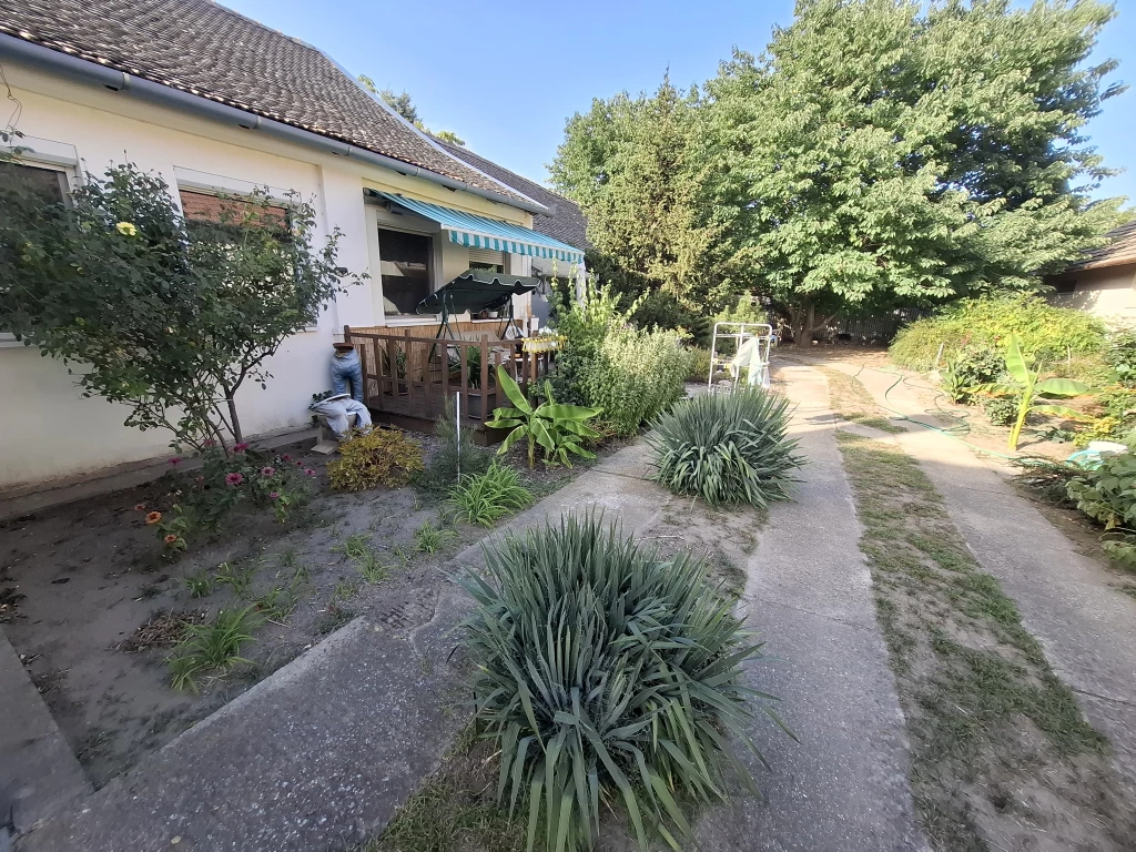 c3-1-name c2-1-name, Tiszaalpár