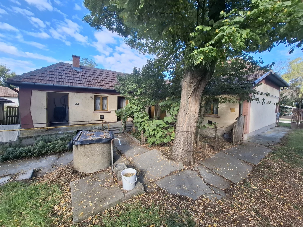 Eladó tanya, Pálmonostora