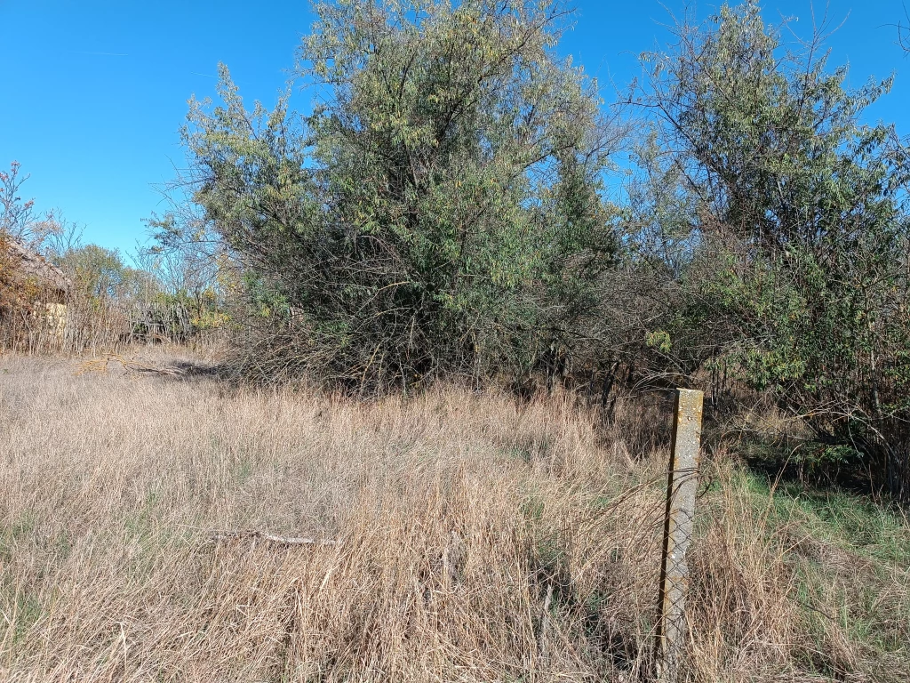 Eladó telek, Pálmonostora, Lehegődűlő