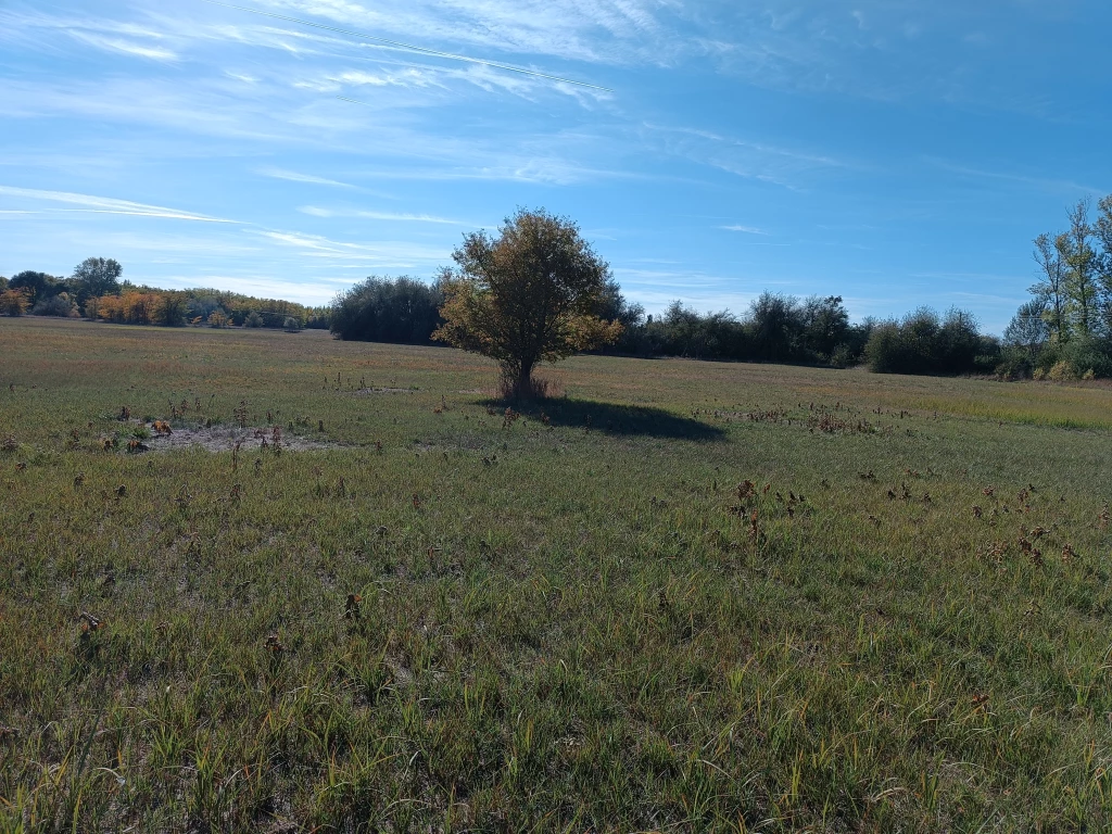 Eladó telek, Pálmonostora, Lehegődűlő