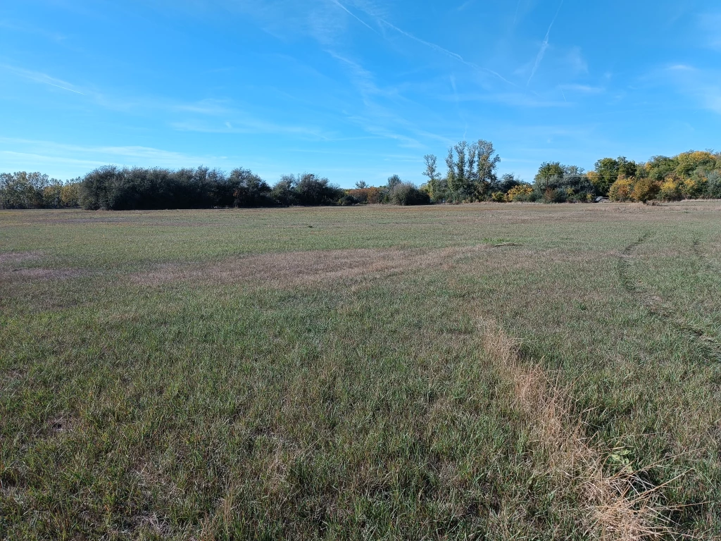 Eladó telek, Pálmonostora, Lehegődűlő