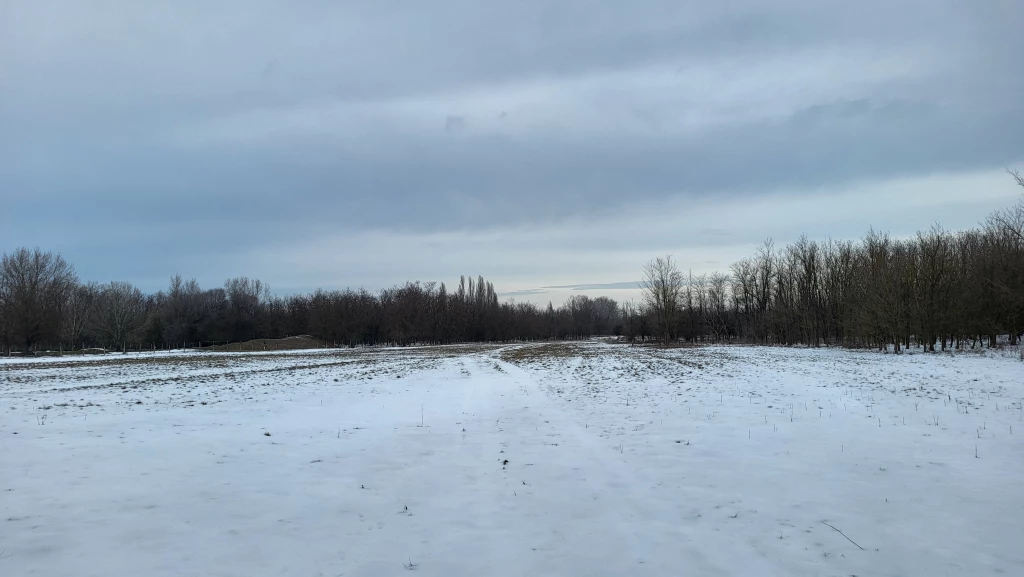 Eladó , Szank, Külterület