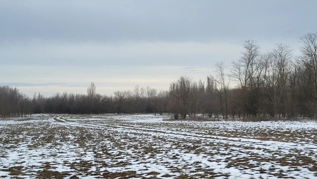 Eladó , Szank, Külterület