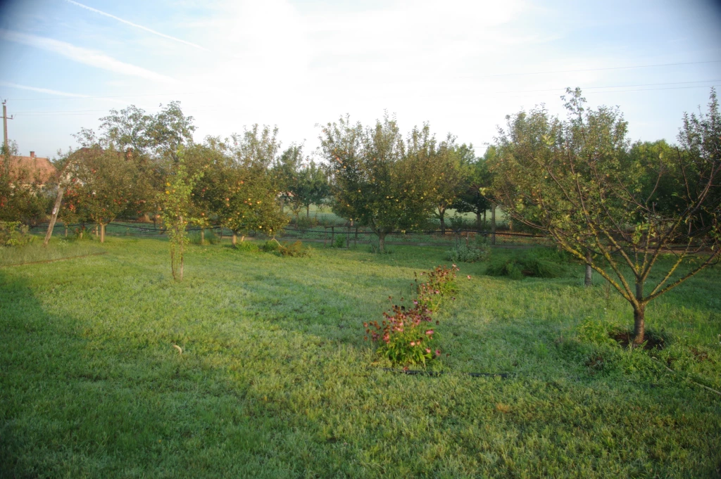 Eladó telek, Bugacpusztaháza, Pásztor utca