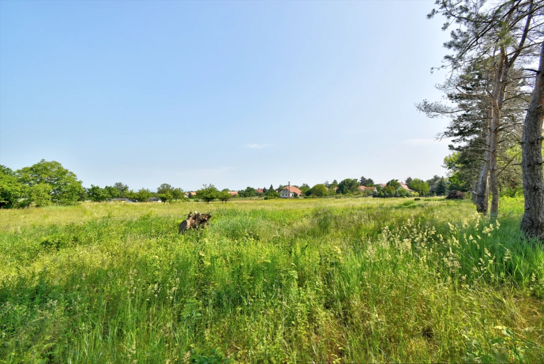 c3-1-name c2-50-name, Balatonszárszó, Tavasz utca