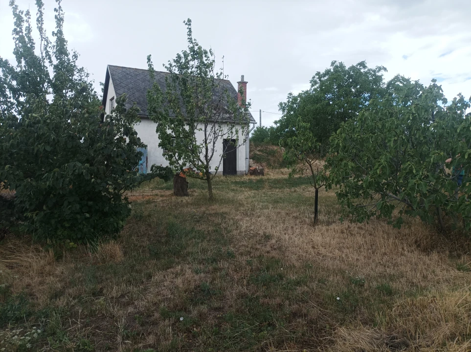 Eladó zártkert, Öskü