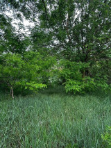 For sale building plot, Hajdúsámson, Sámsonkert