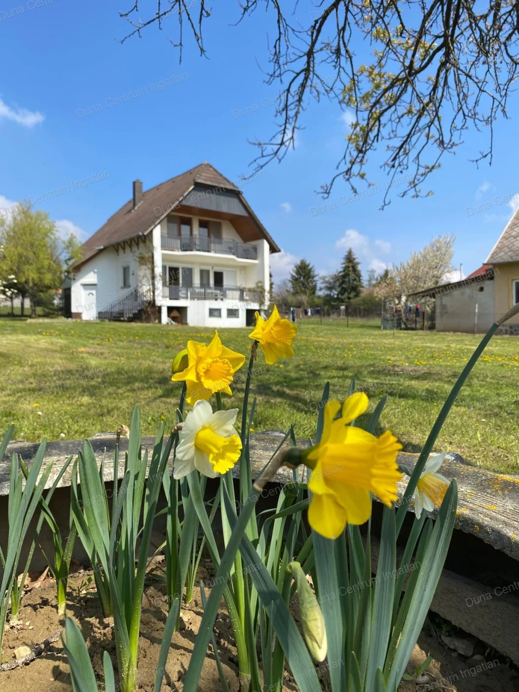 Balatoni panorámás családi ház eladó !