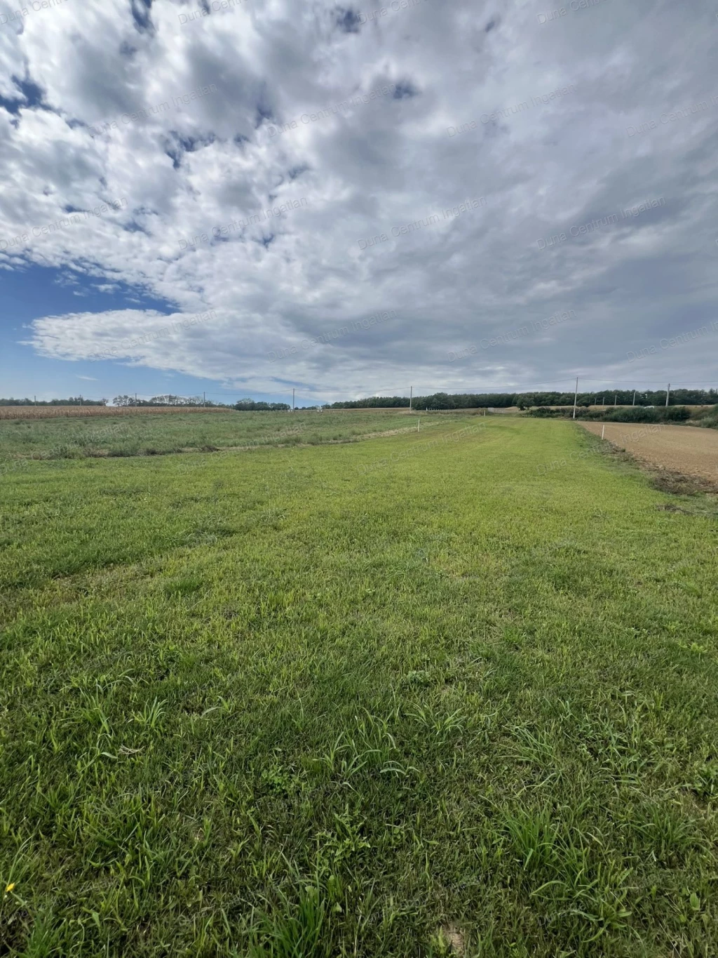 Építési telek eladó !