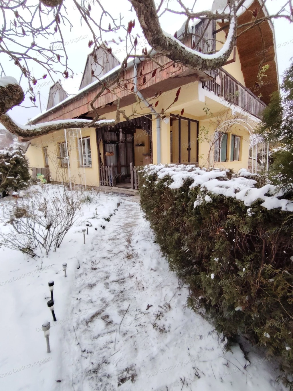 c3-1-name c2-1-name, Kehidakustány