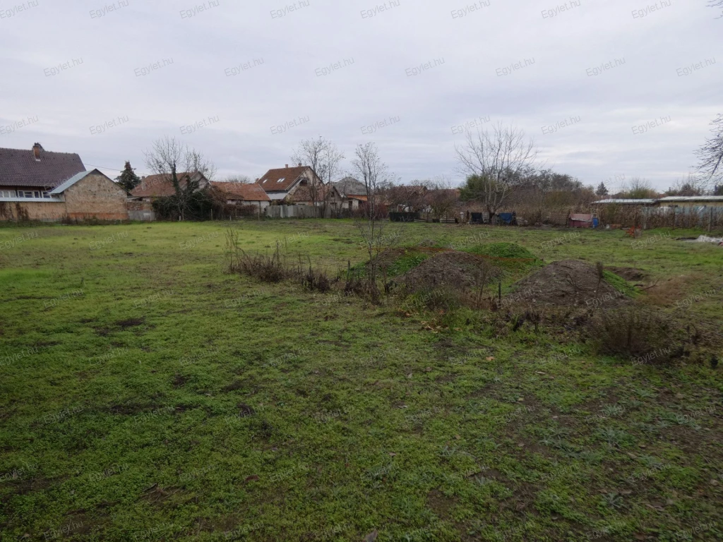 For sale building plot, Monor